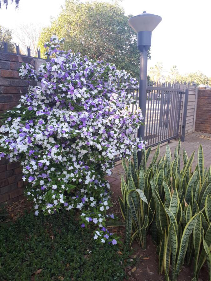 Stew S Room Polokwane Bagian luar foto